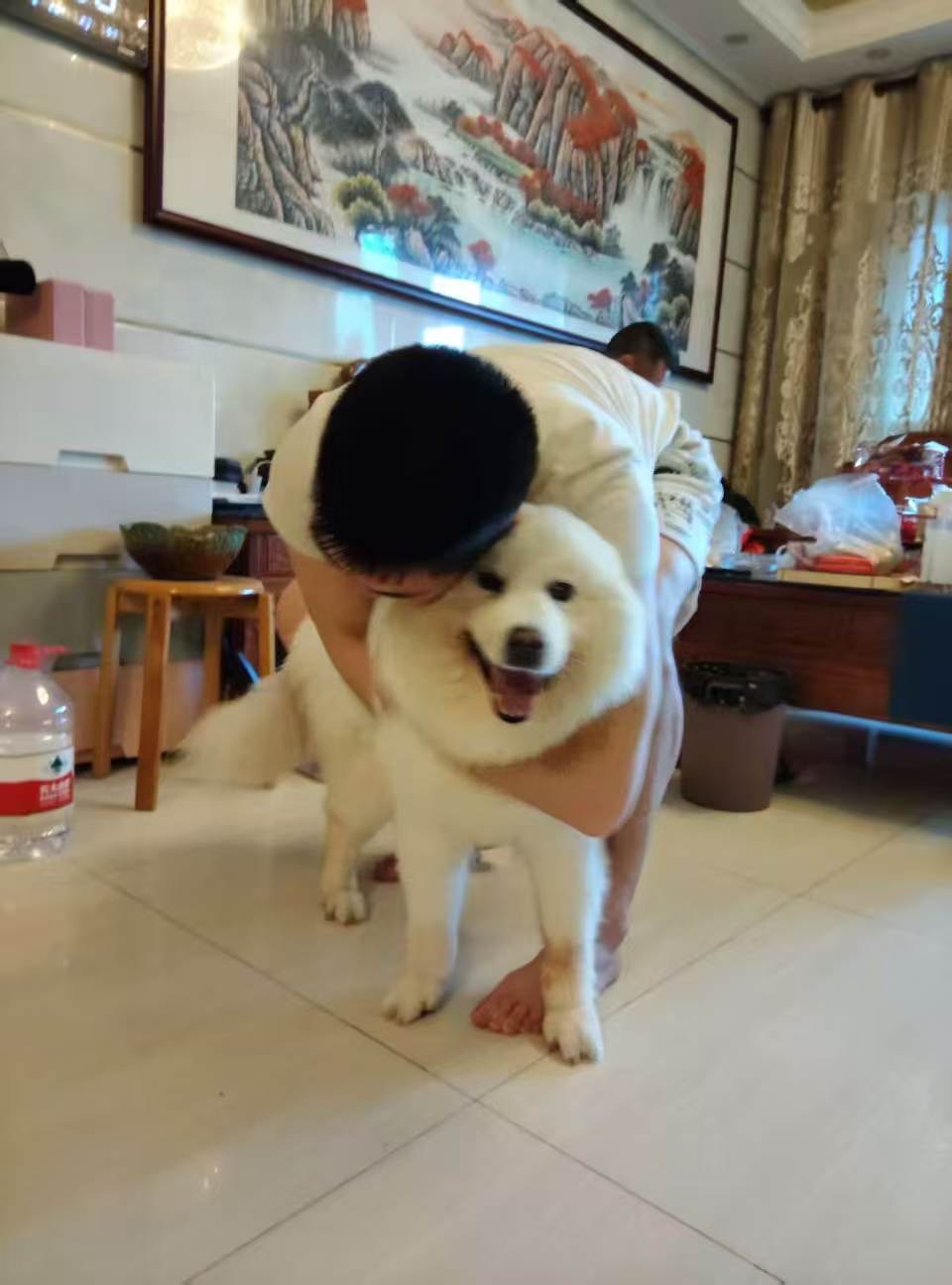 Alex hugging his Samoyed, Duo.